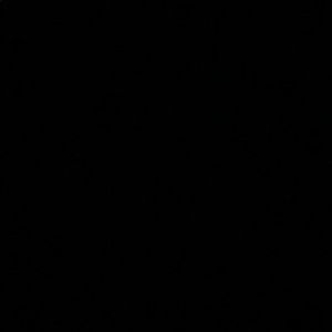 Meet your Posher, Ty